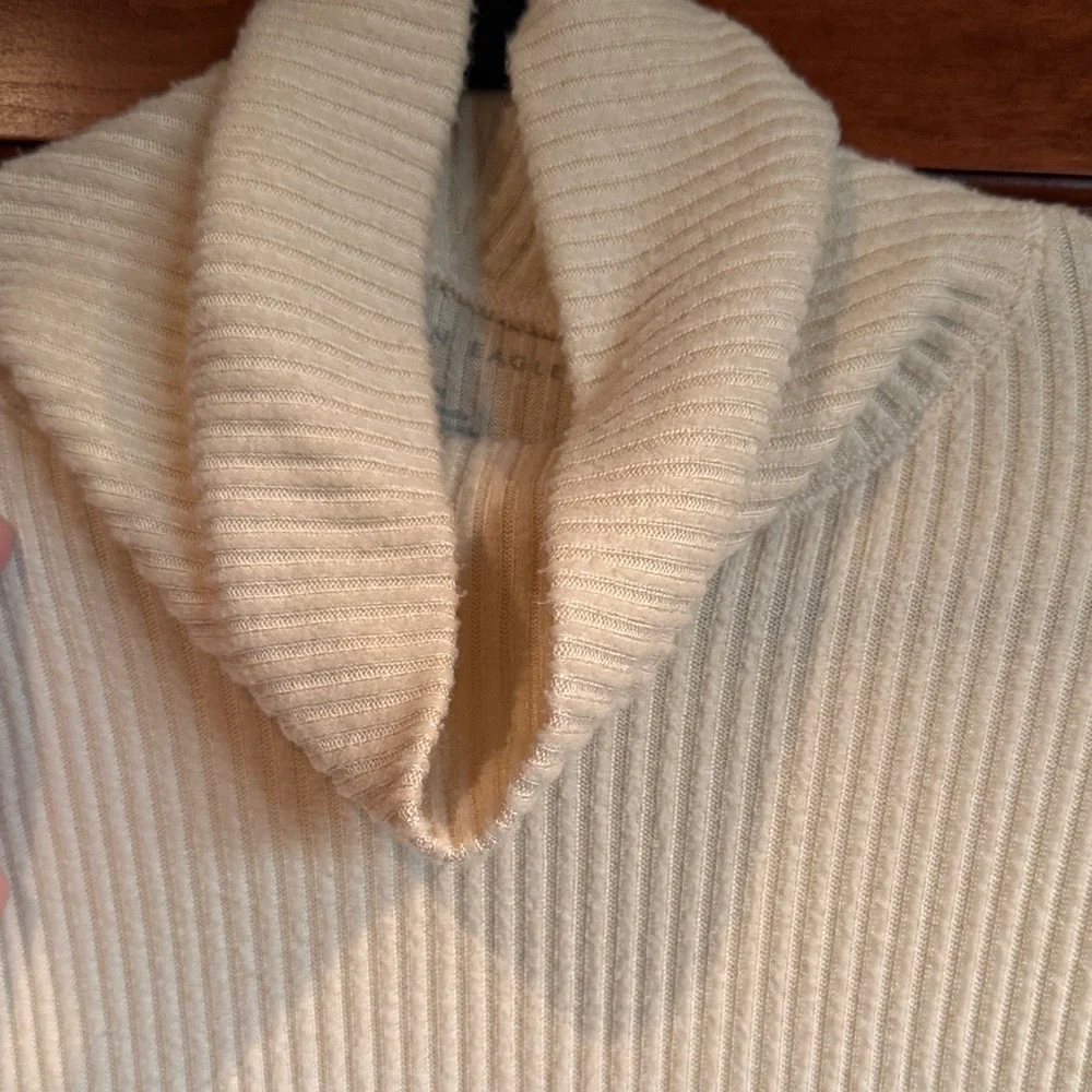 American Eagle Outfitters Cream Turtleneck Sweater